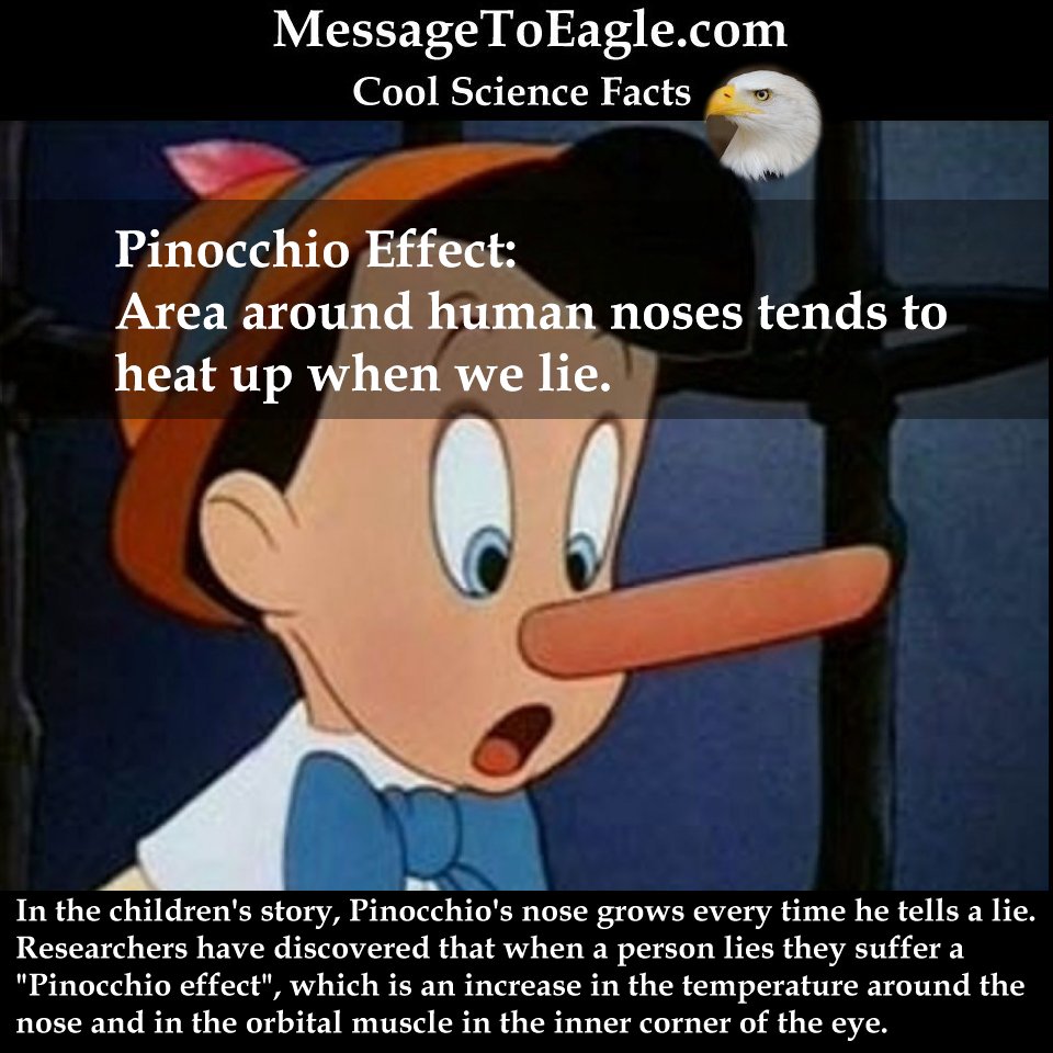 Pinocchio Effect Look What Really Happens With Your Nose When You