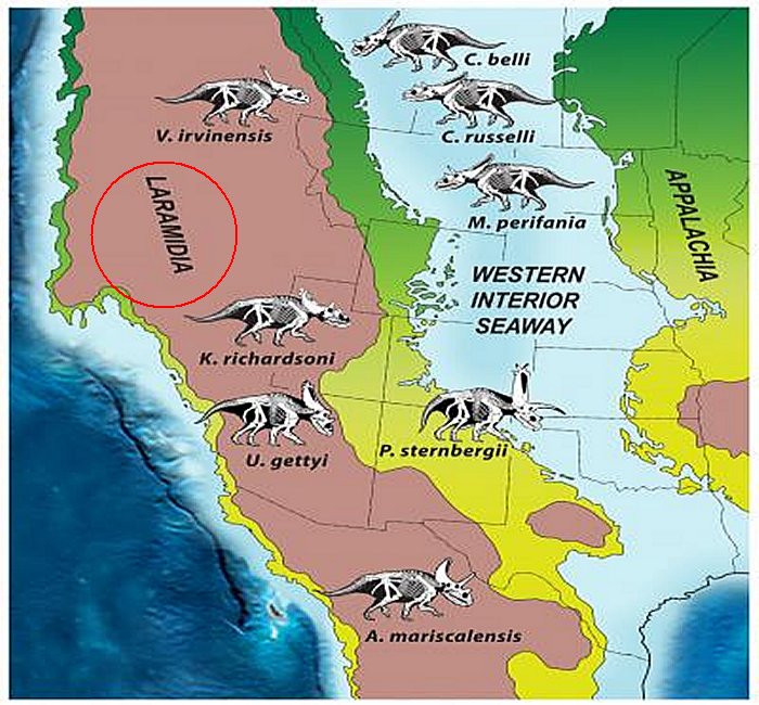 Rare Fossil Of Dog Sized Horned Dinosaur From Lost