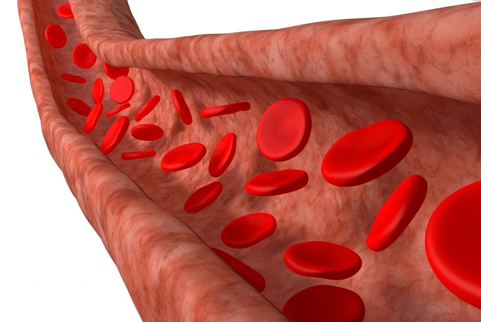 Network Of Miles Long Blood Vessels In Human Body MessageToEagle