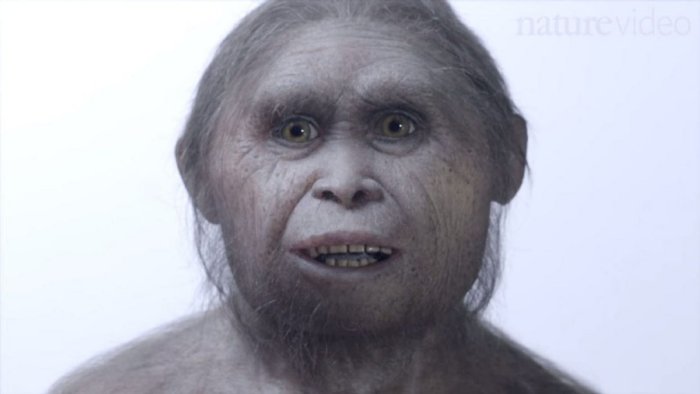 Mysterious Ancient Hobbits Are 600,000 Years Older Than Previously ...