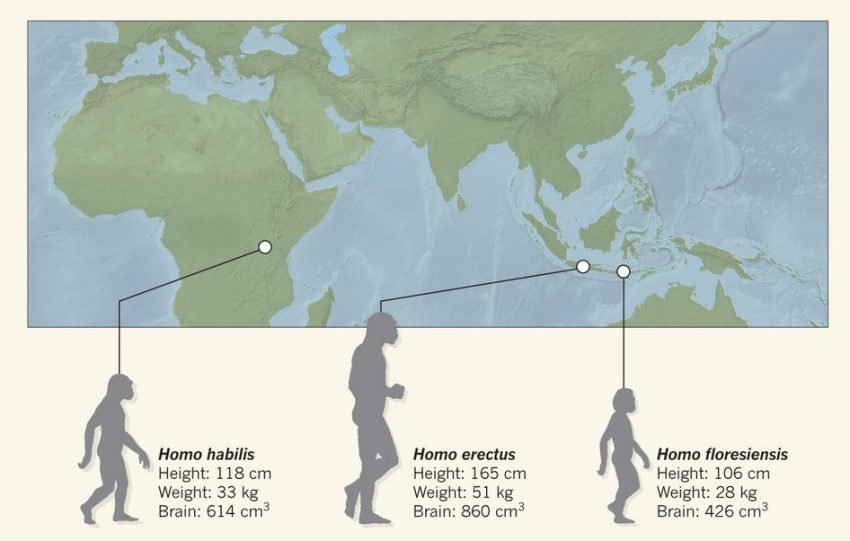 Mysterious Ancient Hobbits Are 600,000 Years Older Than Previously ...