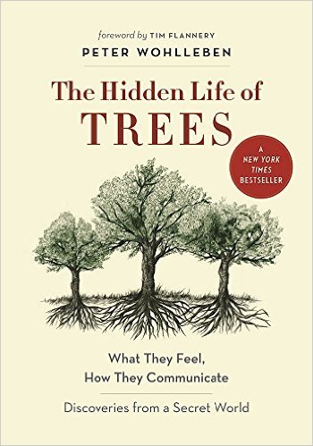 the hidden life of trees author