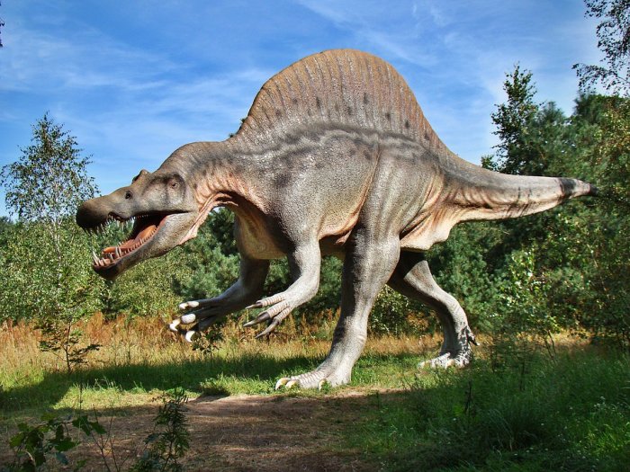 the earliest dinosaurs