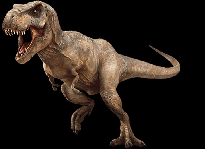 new tyrannosaurus rex