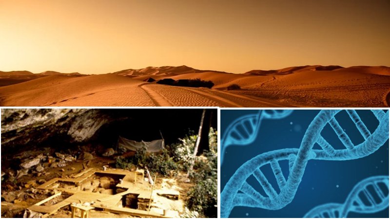 Ancient DNA Illuminates Unknown 'Ghost' Populations In Sub-Saharan ...