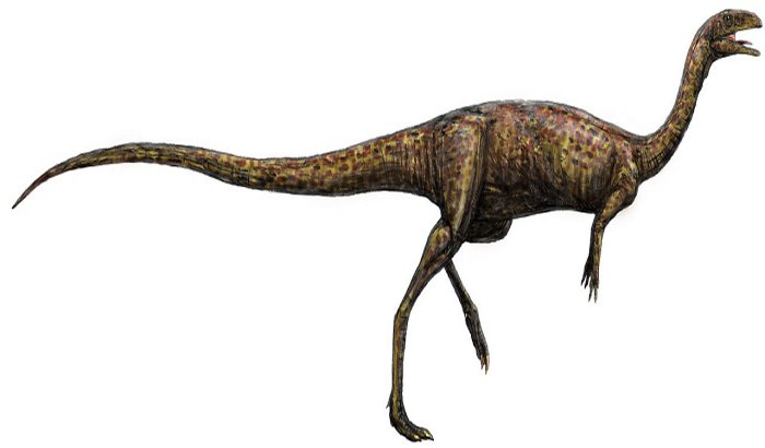 two legged dinosaur with crests on head