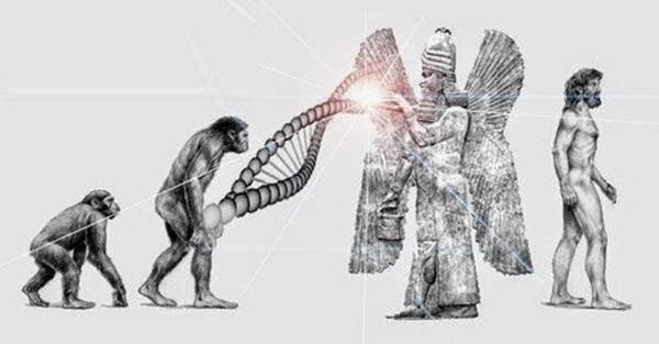 Anunnaki DNA