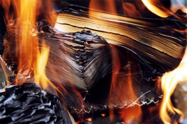 burned books