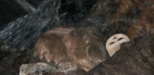 The Egtved Girl's scalp hair, remains of her brain and comb. Photo credit: National Museum of Denmark and University of Copenhagen