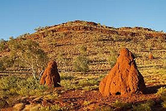 Pilbara Australia