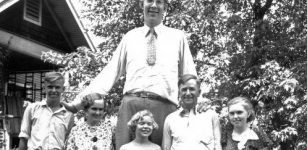 Giant Wadlow