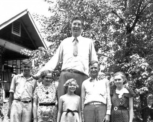 Giant Wadlow