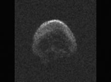 Great Pumkin asteroid