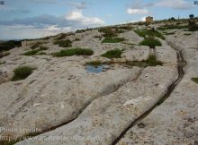 Malta's cart ruts