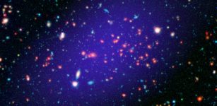 The galaxy cluster called MOO J1142+1527 can be seen here as it existed when light left it 8.5 billion years ago. The red galaxies at the center of the image make up the heart of the galaxy cluster. Credits: NASA/JPL-Caltech/Gemini/CARMA