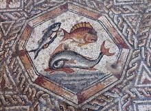 IAA mosaic of fish uncovered in Lod. Credits: Israel Antiquities Authority