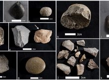 The stone tools discovered by the team were similar to what Dillehay had previously found at Monte Verde. Many were simple unifacial tools—meaning they were worked on only one side of the stone, to create a sharp edge—though some of the younger tools and projectile points indicate bifacial technologies.