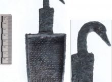 The tapered head, flattened bill and graceful curve of the neck are unquestionably that of a duck. The bird’s head decorates a small, 2,200-year-old bronze incense shovel found during this summer’s dig at a Hellenistic-era site near the Sea of Galilee, and its ancient owners may be the key to an investigation into how and when ancient Judeans populated the Galilee.