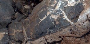 Light material emplaced within darker vein material is seen in this view of a mineral vein at the "Garden City" site on lower Mount Sharp, Mars. The Mars Hand Lens Imager (MAHLI) on the arm of NASA's Curiosity Mars Rover took the image on April 4, 2015. The area shown is roughly 0.4 inch wide. Credits: NASA/JPL-Caltech/MSSS