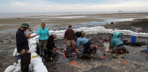 Archaeologists work on an ancient burial ground on an island near Cedar Key.﻿ Courtesy of Ken Sassaman