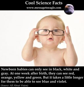 What Colors Can Newborn Babies See? - MessageToEagle.com