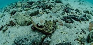 800-year-old shipwreck