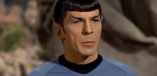 Leonard Nimoy as Mr.Spock