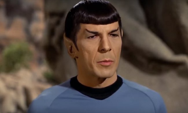 Leonard Nimoy as Mr.Spock