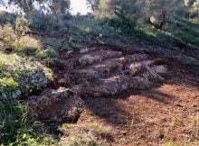 ancient Greek theater