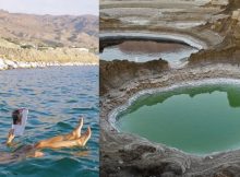 dead sea floating