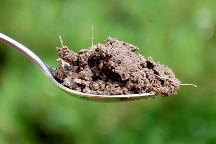 Teaspoon soil