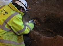 "The artefacts comprise metal objects including significant quantities of coins, coffin fixtures and fittings, organic finds including coffin wood and textiles, ceramics, stone artefacts, bricks, tiles and quantities of animal bone and shell." Credits: Aberdeen City Council