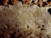 Surprisingly, this cave contains one third of all the prehistoric mammoth images in Western Europe, though mammoth bones are only rarely found in south-west France.