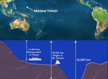 Mariana Trench