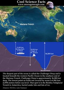 Mariana Trench: Deepest Part Of The World’s Oceans - MessageToEagle.com