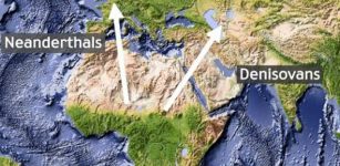 The Neanderthals and the Denisovans started in Africa but later began to move, the Neanderthals moved out to the west and into Europe, while the Denisovans headed East.