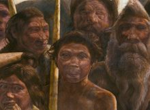 The Sima de los Huesos hominins lived approximately 400,000 years ago during the Middle Pleistocene. © Kennis & Kennis, Madrid Scientific Films