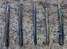 Yew blades found near the lake Swidwie. Fig. T. Galinski