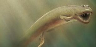 Illustration of Tiktaalik roseae in its natural environment. Credit: University of Chicago, Neil Shubin