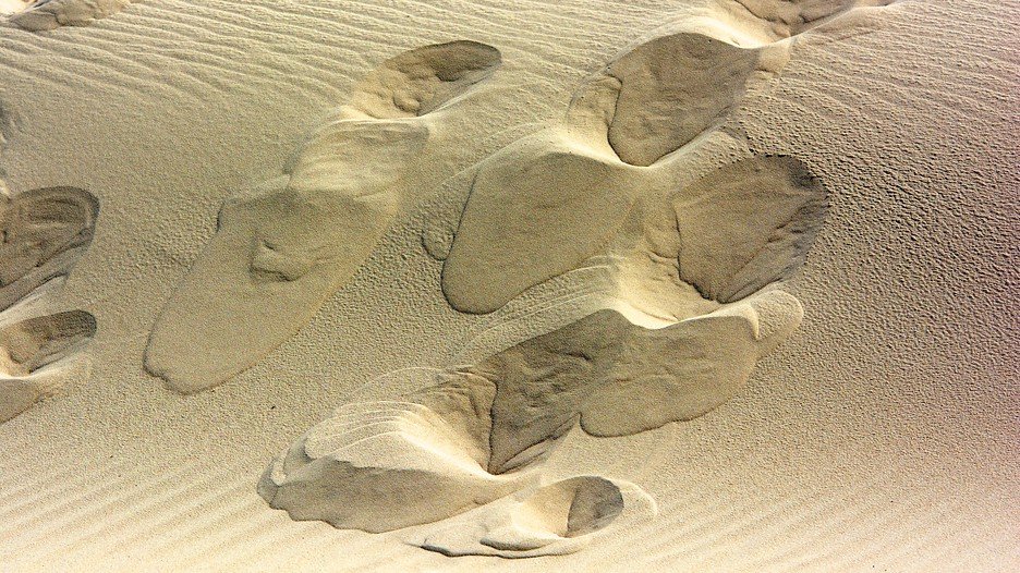 Råbjerg Mile: Largest Moving Sand Dune In Northern Europe