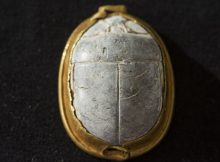 A 3,700-year-old scarab seal found by a birdwatcher at Tel Dor, in northern Israel, dated to the 13th Dynasty. (Tel Dor Excavations, courtesy) via The Times of Israel