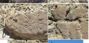 Winnemucca petroglyphs. Credits: Benson et al. (2013)