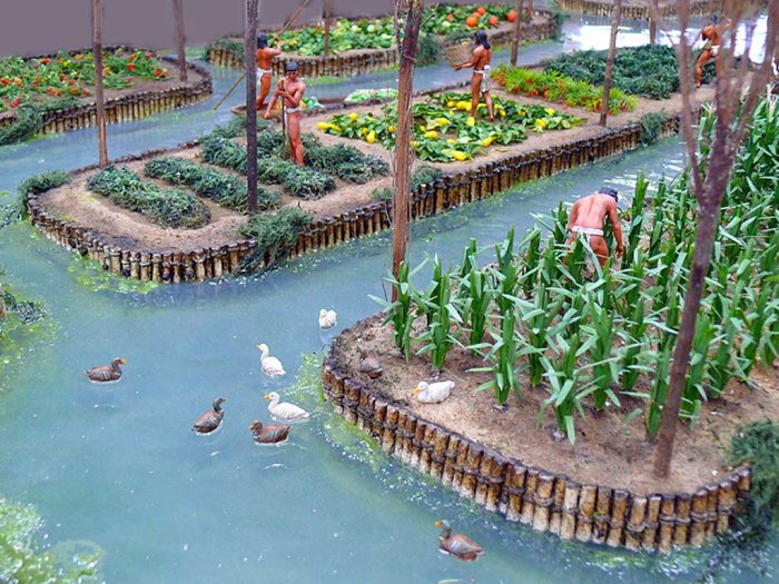 Chinampas: Artificial Islands Created By The Aztecs To Improve ...