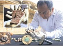 Ancient metal claws discovered in tomb of Mochica ruler.