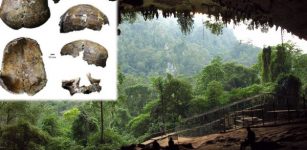 Deep skull discovered in Niah Cave