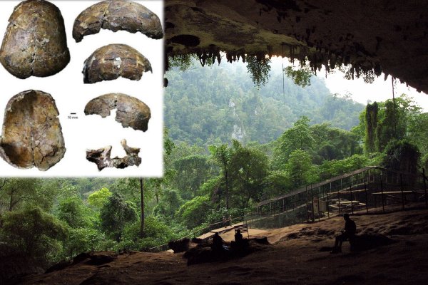 Deep skull discovered in Niah Cave