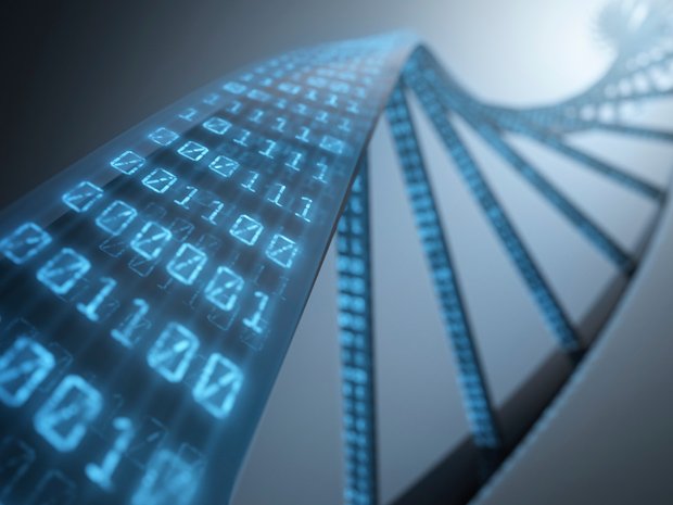 DNA data storage