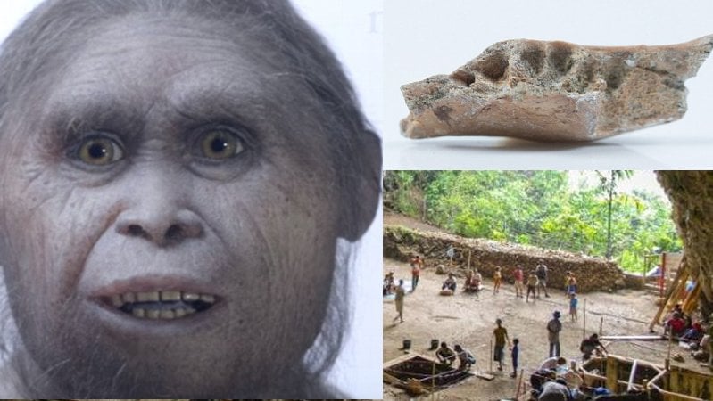 Spectacular Olduvai Gorge And Early Hominid Fossils Found In East ...