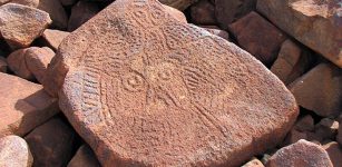 Petroglyphs at Pilbara