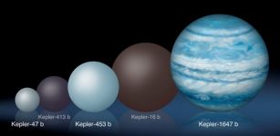 Comparison of the relative sizes of several Kepler circumbinary planets. Kepler-1647 b is substantially larger than any of the previously known circumbinary planets. Credits: Lynette Cook